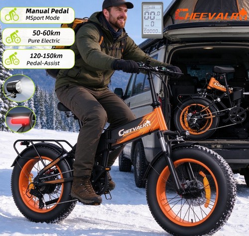 250w electric bike - electric,